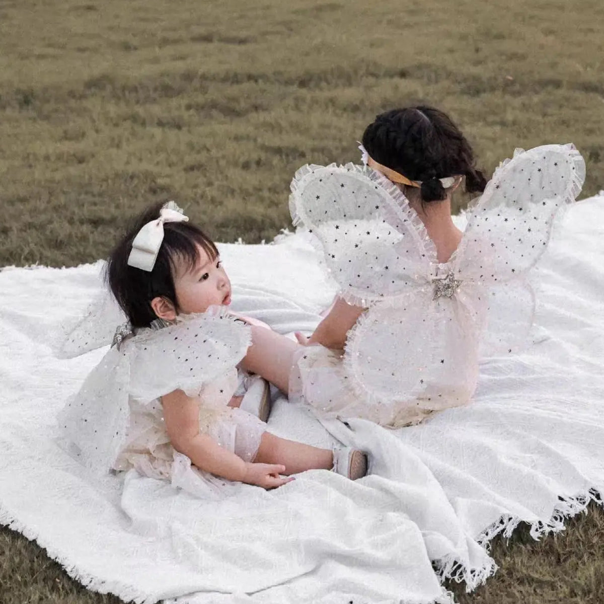 Jessruly® Fairy Wings – Delicate Lace Butterfly Wings for Photography